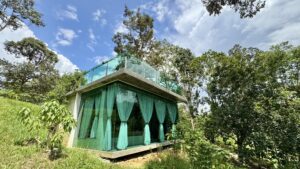 Glass_House_10